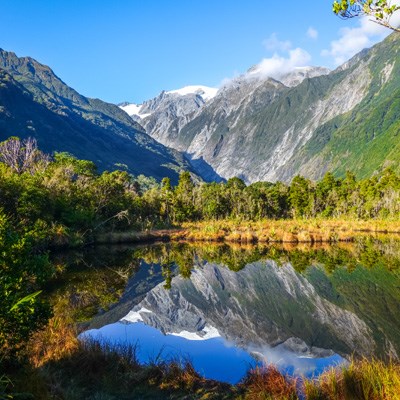 que faire en Nouvelle Zelande : visiter La vallée du glacier Franz Josef 