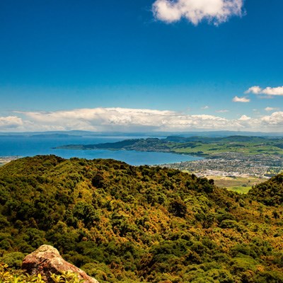 que faire en Nouvelle Zelande : visiter Le lac Taupo