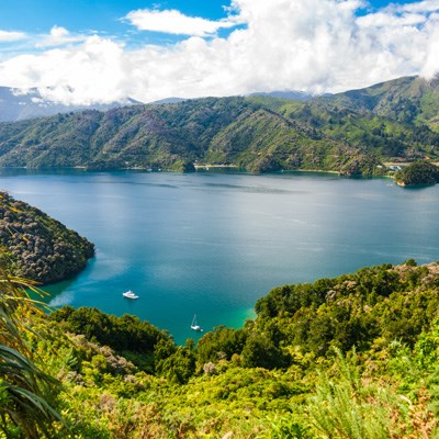 que faire en Nouvelle Zelande : visiter Les Marlborough Sounds