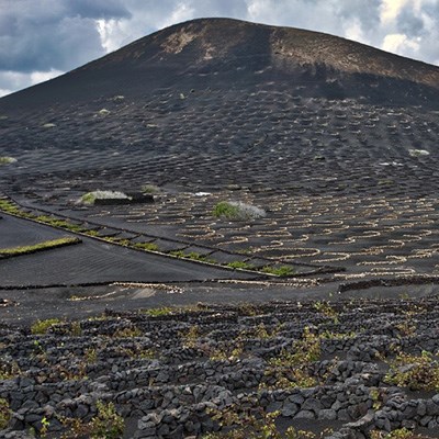 que faire aux Canaries : visiter Les vignobles (Lanzarote)