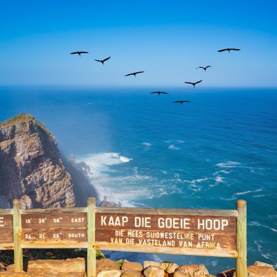 que faire en Afrique du Sud : visiter Le Cap de Bonne-Espérance