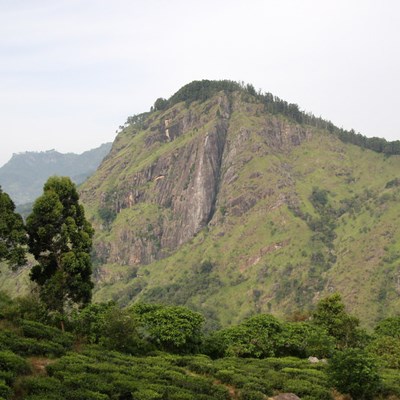 que faire au Sri Lanka : visiter Little Adam's Peak