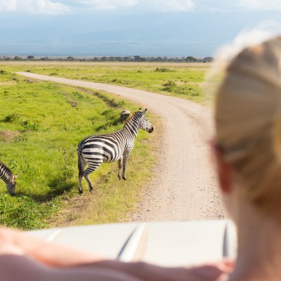 que faire en Afrique du Sud : visiter Le parc naturel de Sainte-Lucie