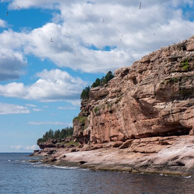 que faire au Canada : visiter Le parc national de Miguasha