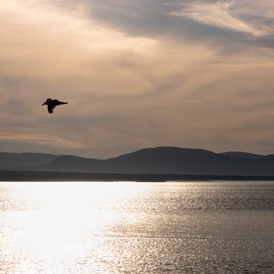 que faire au Canada : visiter La Rivière-du-Loup