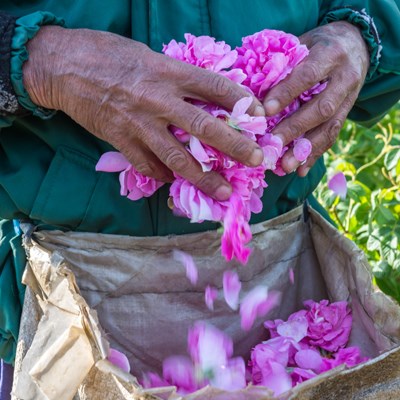 que faire au Maroc : visiter La Vallée du Dadès