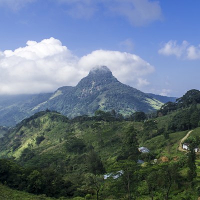 que faire au Sri Lanka : visiter Les Mont Knuckles