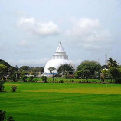 que faire au Sri Lanka : visiter Tissamaharama