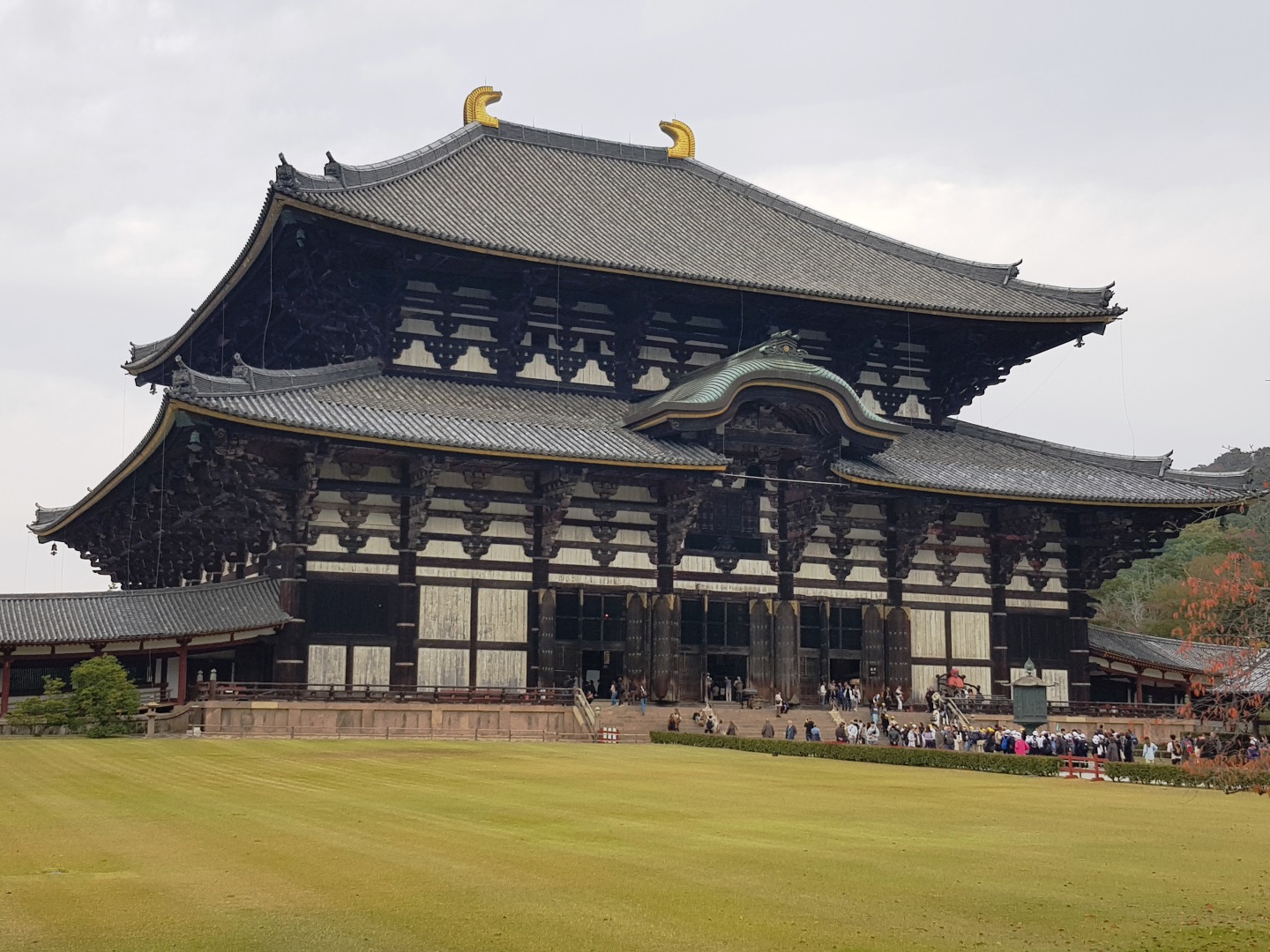 Japon - Nara