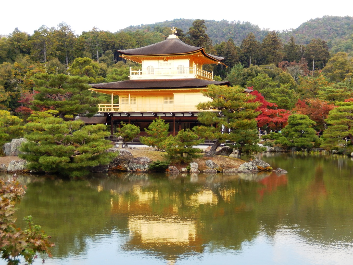 Japon - Kyoto à travers une cérémonie du thé 
