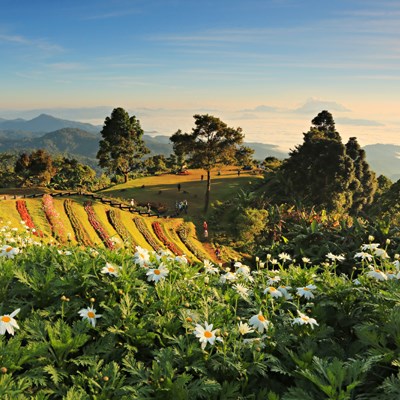 que faire en Thaïlande : visiter Le Parc National de Huay Nam Dung