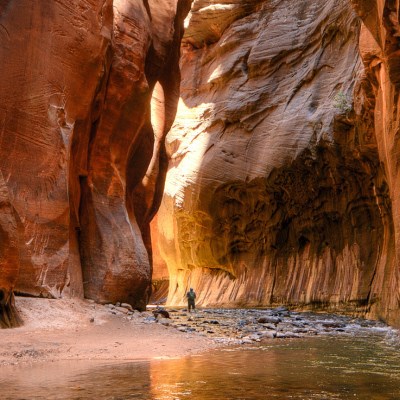 que faire aux Etats-Unis : visiter Le parc national de Zion