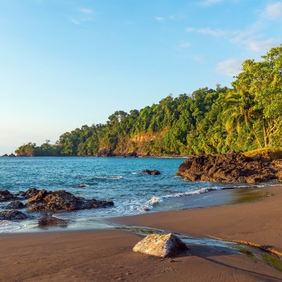 que faire au Costa Rica : visiter La péninsule d’Osa