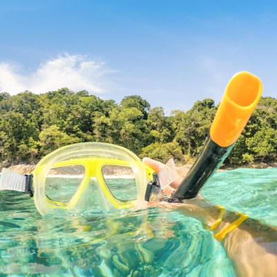que faire aux Seychelles : visiter Iles Coco et Féllicité