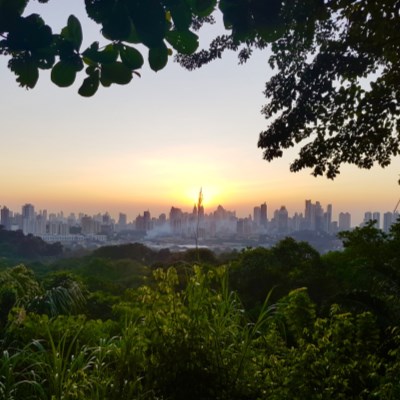 que faire au Panama : visiter Le parc naturel Métropolitain