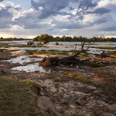 que faire au Botswana : visiter Le parc national de Chobé