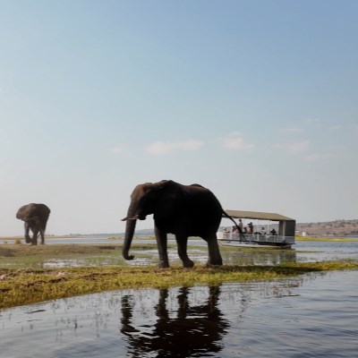 que faire au Botswana : visiter Kasane