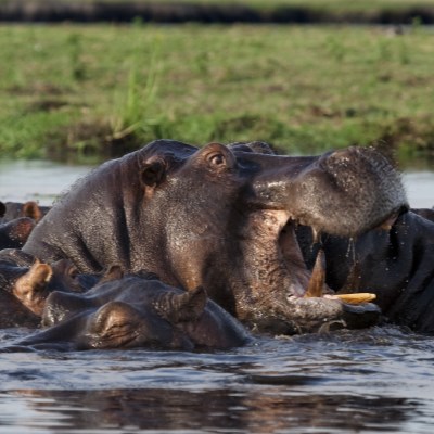 que faire en Namibie : visiter La bande de Caprivi