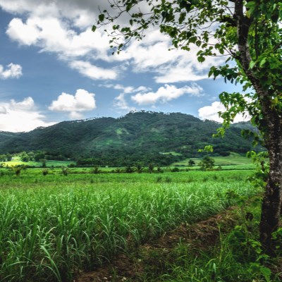 que faire aux Philippines : visiter L'île Negros