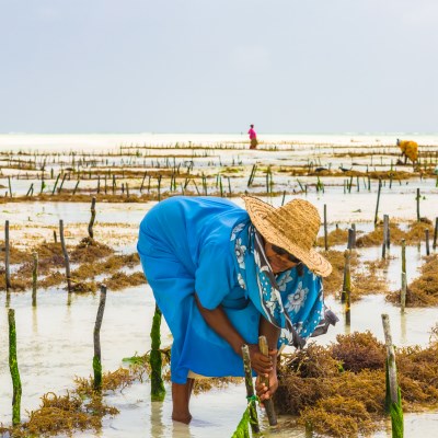 que faire à Zanzibar : visiter Les projets communautaires
