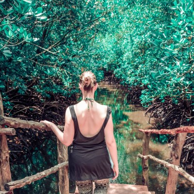 que faire à Zanzibar : visiter La forêt de Jozani