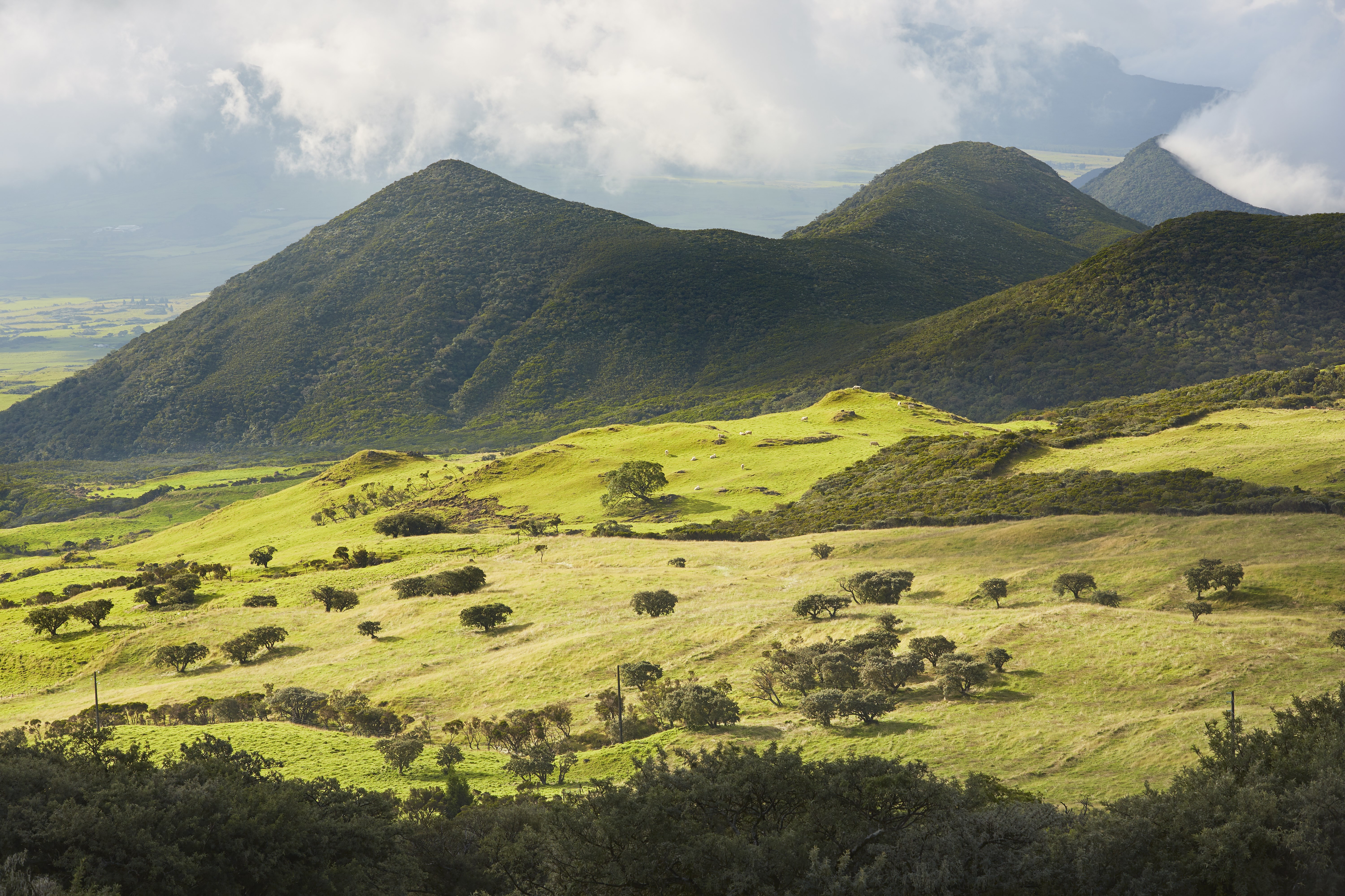 Visiter La Plaine Des Cafres Ile De La Reunion A Faire Voir La Visiter La Plaine Des Cafres Ile De La Reunion A Faire Voir La