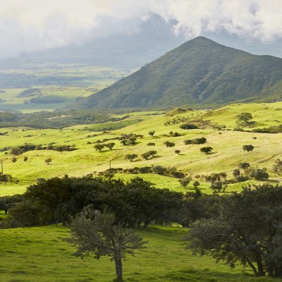 que faire à l' Ile de la Reunion : visiter La Plaine des Cafres