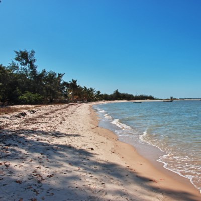 que faire au Sénégal : visiter L'île Ehedji 