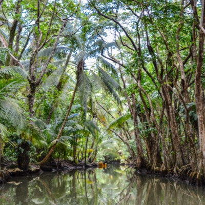 que faire en Dominique : visiter Indian River