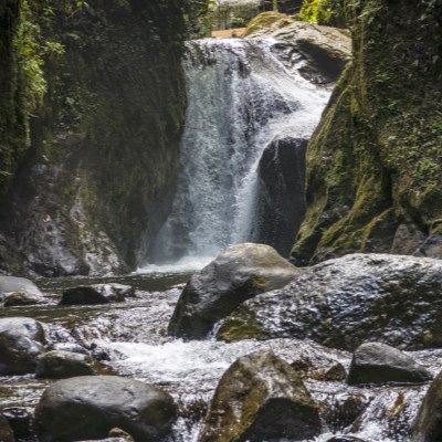 que faire en Equateur : visiter Mindo