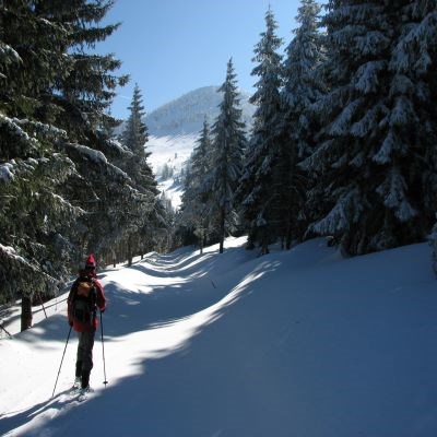 que faire en Rhône-Alpes : visiter La ferme de Verden