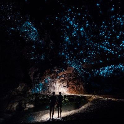 que faire en Nouvelle Zelande : visiter Waitomo