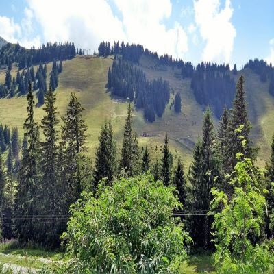 que faire en Rhône-Alpes : visiter L'alpage de Bovine