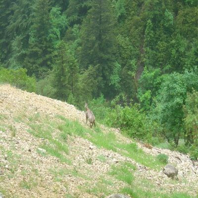 que faire en Rhône-Alpes : visiter La rivière de l'Aubaise