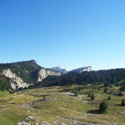 que faire en Rhône-Alpes : visiter La réserve naturelle des hauts-plateaux du Vercors