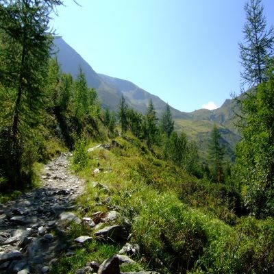 que faire en Rhône-Alpes : visiter Le col de Balme