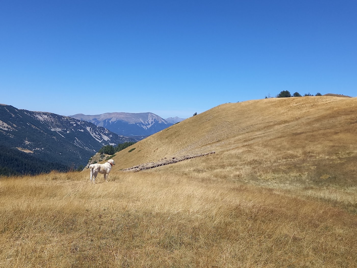 Visiter La vie pastorale en montagne - Provence