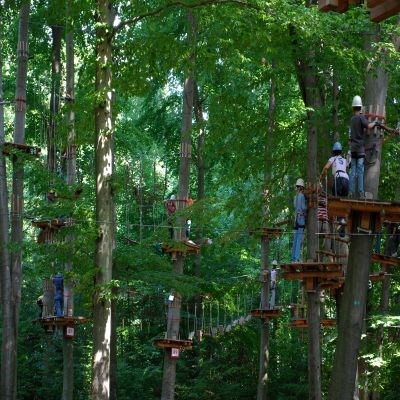 que faire en Rhône-Alpes : visiter Le parcours accrobranche dans la forêt du Martouret