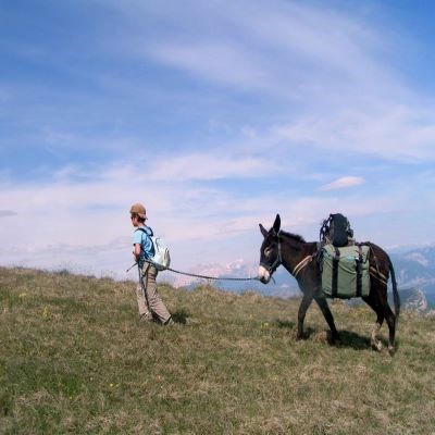 que faire en Rhône-Alpes : visiter Le Vercors en randonnée avec des ânes