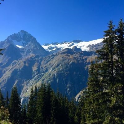 que faire en Rhône-Alpes : visiter Le parc de la Vanoise