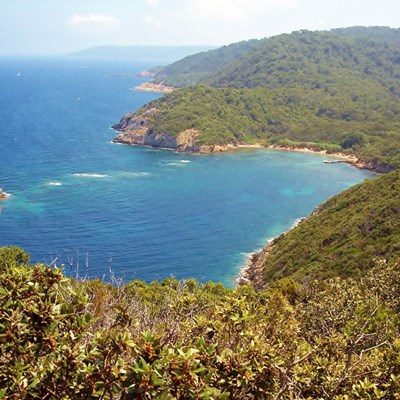 que faire en Provence : visiter L'île de Port Cros