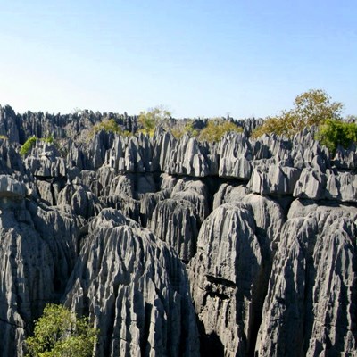 que faire à Madagascar : visiter Le parc national des Tsingy de Bemaraha