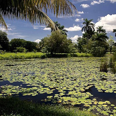 que faire à Cuba : visiter Cienaga de Zapata