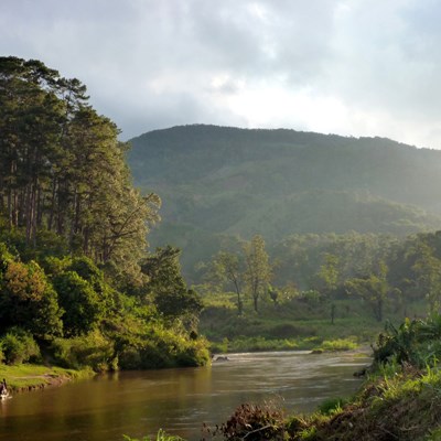 que faire à Madagascar : visiter Le Parc de Ranomafana