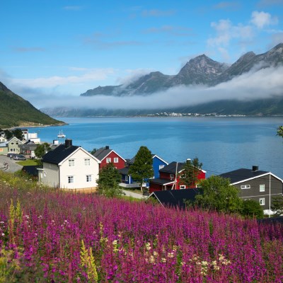 que faire en Norvège : visiter L'île de Senja en randonnée raquettes