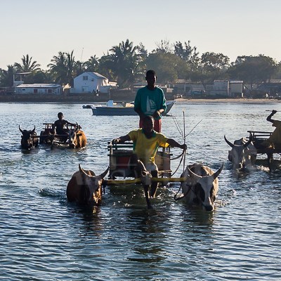 que faire à Madagascar : visiter Tulear