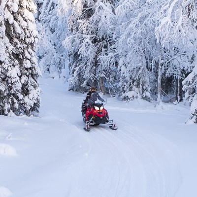 que faire en Laponie : visiter La Laponie en motoneige