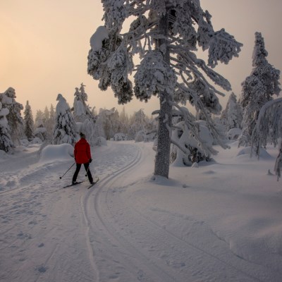 que faire en Laponie : visiter La Laponie en randonnée ski nordique