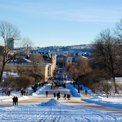 que faire en Laponie : visiter Oslo