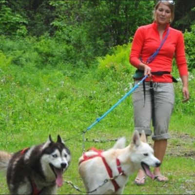 que faire au Canada : visiter Le Quebec en cani-randonnée